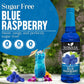 blue raspberry syrup sugar free